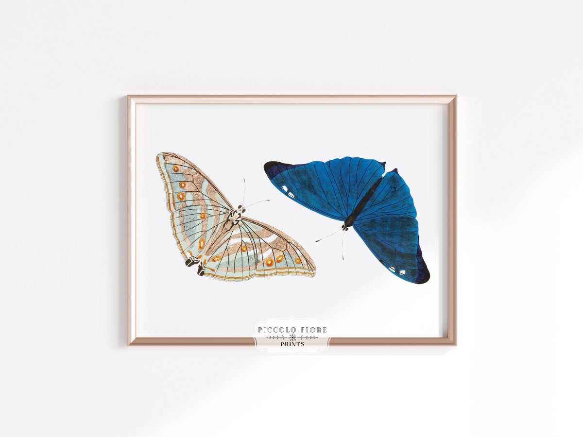 Two Butterflies | P90 - Single Art Prints - Piccolo Fiore Prints