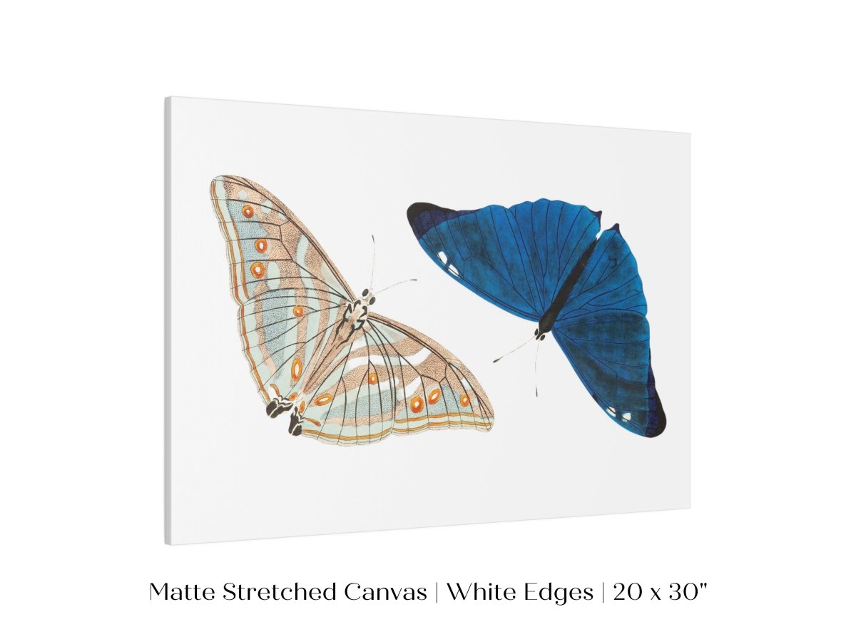 Two Butterflies | P90 - Single Art Prints - Piccolo Fiore Prints