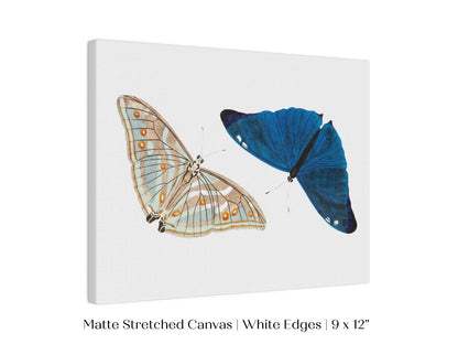 Two Butterflies | P90 - Single Art Prints - Piccolo Fiore Prints