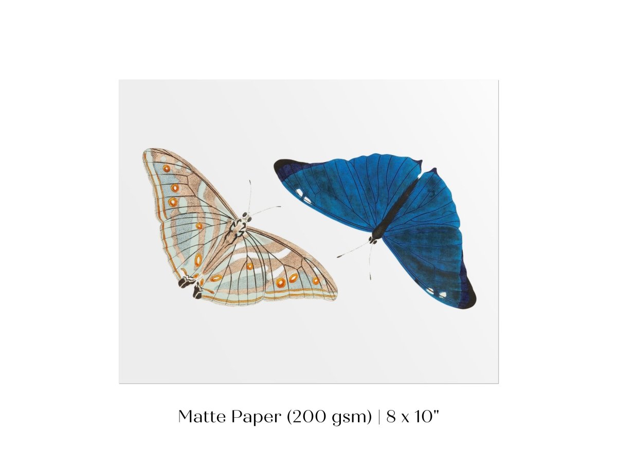 Two Butterflies | P90 - Single Art Prints - Piccolo Fiore Prints