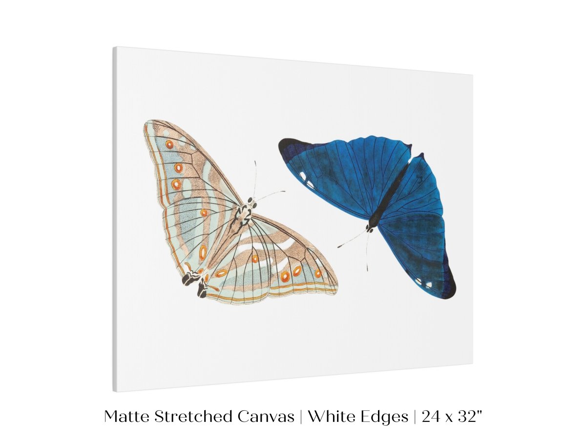 Two Butterflies | P90 - Single Art Prints - Piccolo Fiore Prints