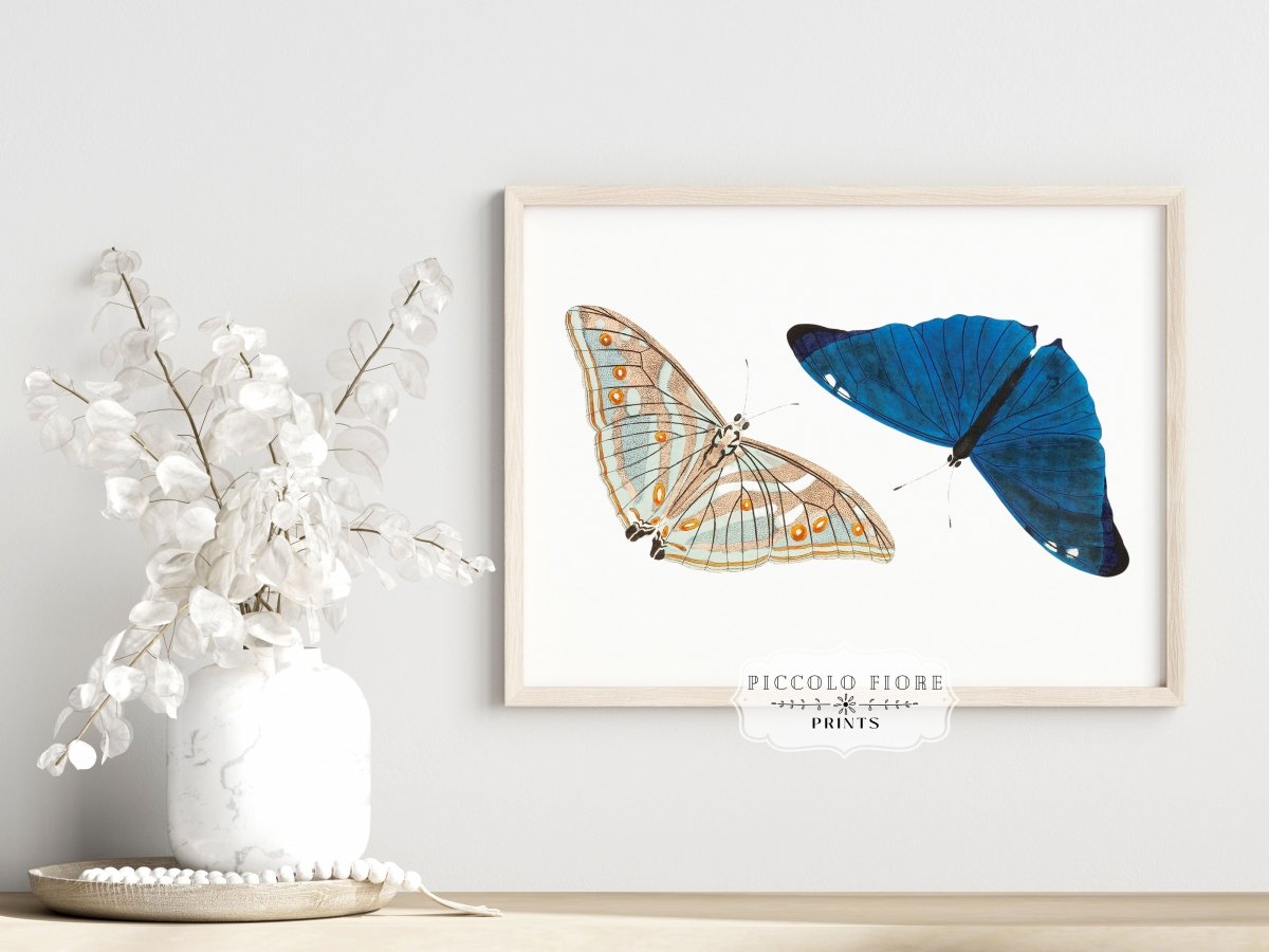 Two Butterflies | P90 - Single Art Prints - Piccolo Fiore Prints
