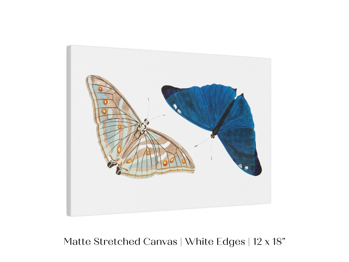 Two Butterflies | P90 - Single Art Prints - Piccolo Fiore Prints