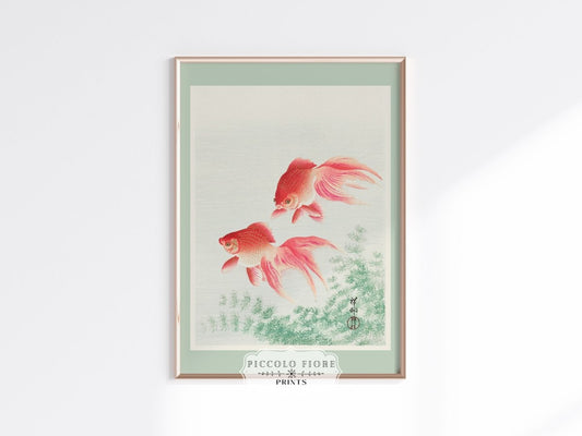 Two Veil Goldfish | Vintage Japanese Art | P161 - Single Art Prints - Piccolo Fiore Prints