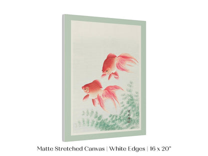 Two Veil Goldfish | Vintage Japanese Art | P161 - Single Art Prints - Piccolo Fiore Prints