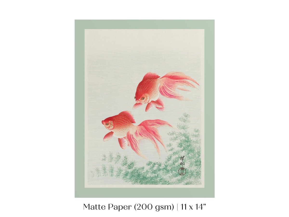 Two Veil Goldfish | Vintage Japanese Art | P161 - Single Art Prints - Piccolo Fiore Prints