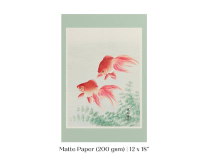 Two Veil Goldfish | Vintage Japanese Art | P161 - Single Art Prints - Piccolo Fiore Prints