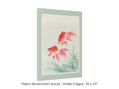 Two Veil Goldfish | Vintage Japanese Art | P161 - Single Art Prints - Piccolo Fiore Prints