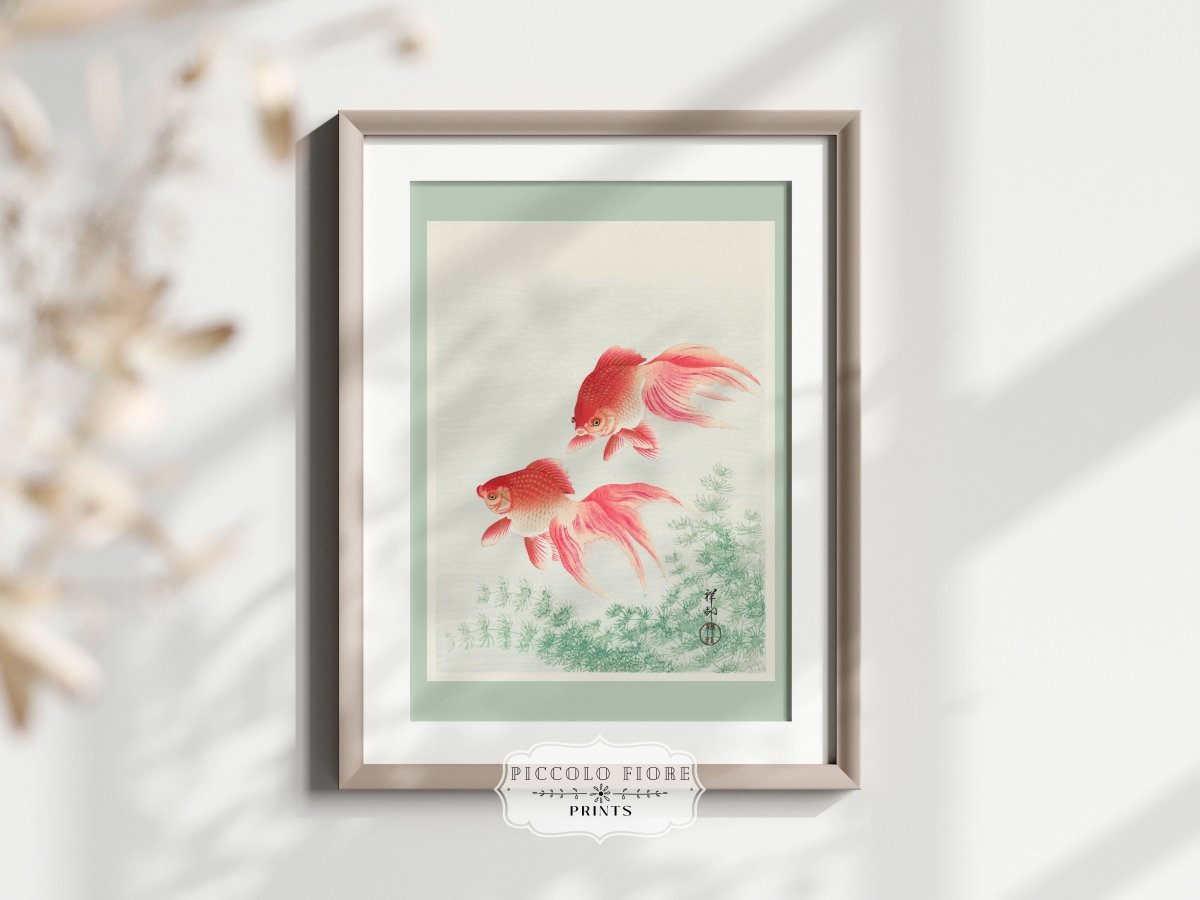Two Veil Goldfish | Vintage Japanese Art | P161 - Single Art Prints - Piccolo Fiore Prints