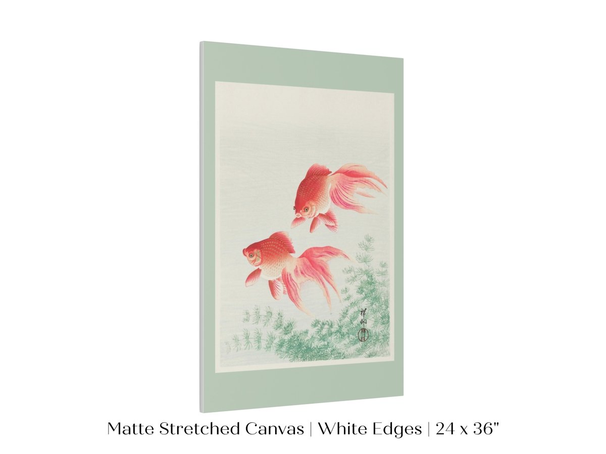 Two Veil Goldfish | Vintage Japanese Art | P161 - Single Art Prints - Piccolo Fiore Prints