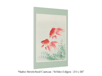 Two Veil Goldfish | Vintage Japanese Art | P161 - Single Art Prints - Piccolo Fiore Prints