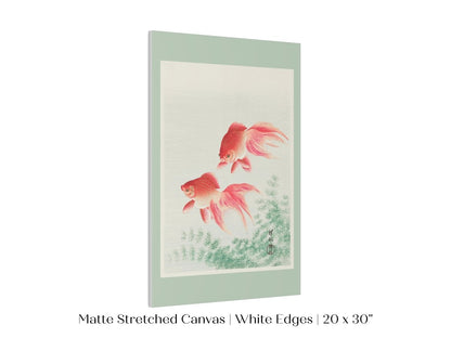 Two Veil Goldfish | Vintage Japanese Art | P161 - Single Art Prints - Piccolo Fiore Prints