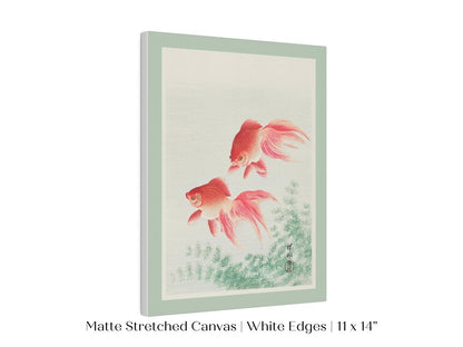 Two Veil Goldfish | Vintage Japanese Art | P161 - Single Art Prints - Piccolo Fiore Prints