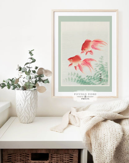 Two Veil Goldfish | Vintage Japanese Art | P161 - Single Art Prints - Piccolo Fiore Prints