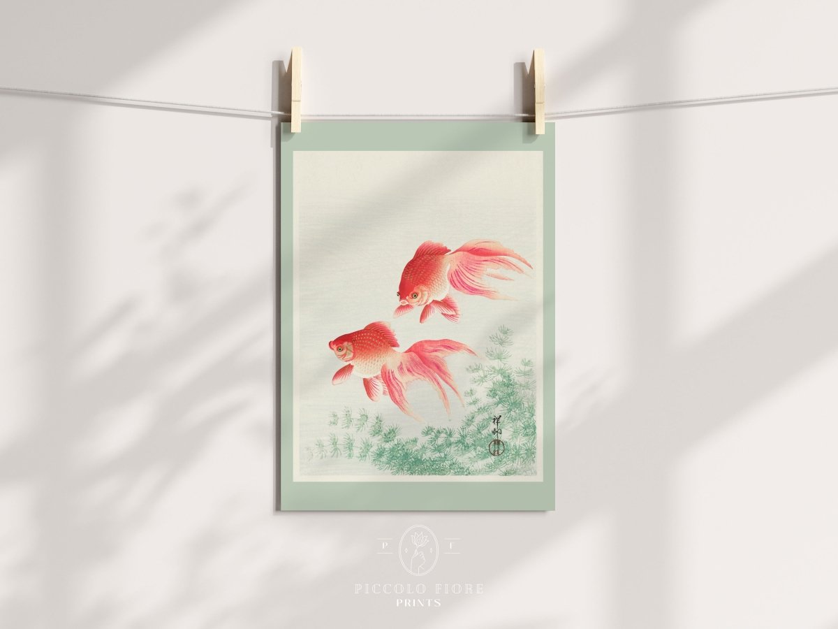 Two Veil Goldfish | Vintage Japanese Art | P161 - Single Art Prints - Piccolo Fiore Prints