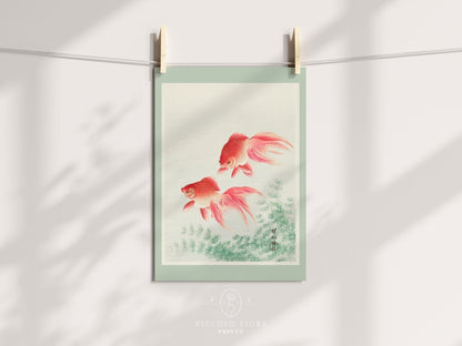 Two Veil Goldfish | Vintage Japanese Art | P161 - Single Art Prints - Piccolo Fiore Prints