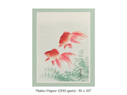 Two Veil Goldfish | Vintage Japanese Art | P161 - Single Art Prints - Piccolo Fiore Prints