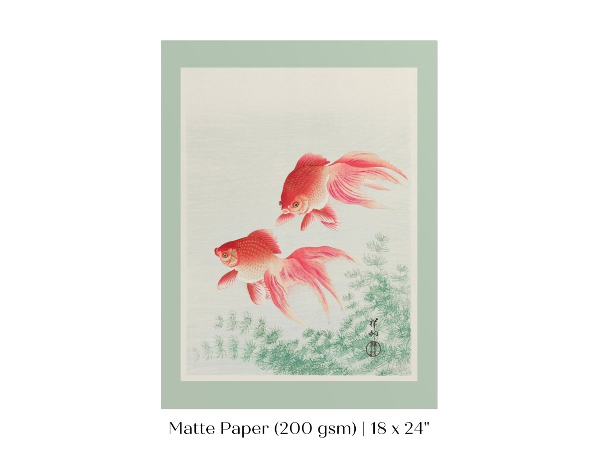 Two Veil Goldfish | Vintage Japanese Art | P161 - Single Art Prints - Piccolo Fiore Prints