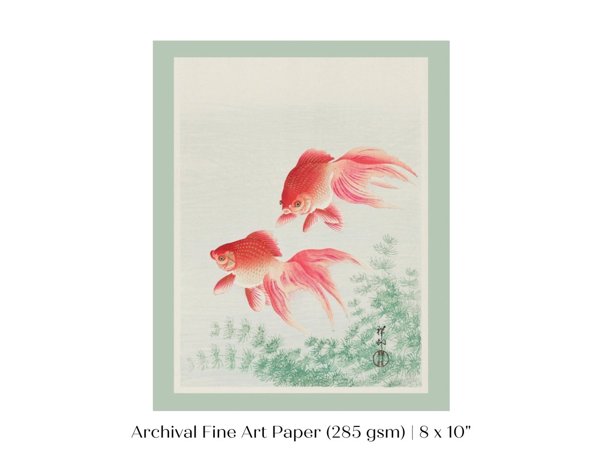 Two Veil Goldfish | Vintage Japanese Art | P161 - Single Art Prints - Piccolo Fiore Prints