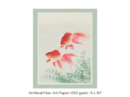 Two Veil Goldfish | Vintage Japanese Art | P161 - Single Art Prints - Piccolo Fiore Prints