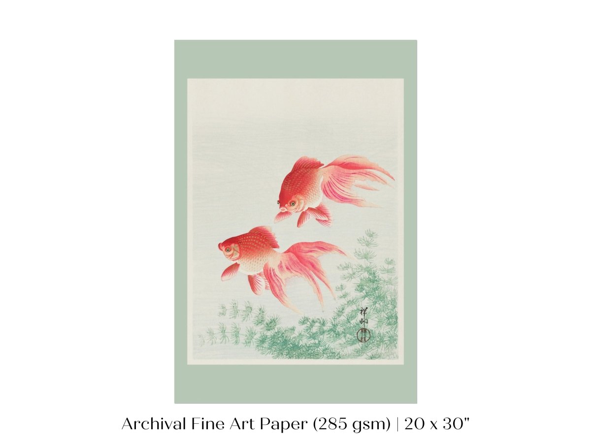 Two Veil Goldfish | Vintage Japanese Art | P161 - Single Art Prints - Piccolo Fiore Prints