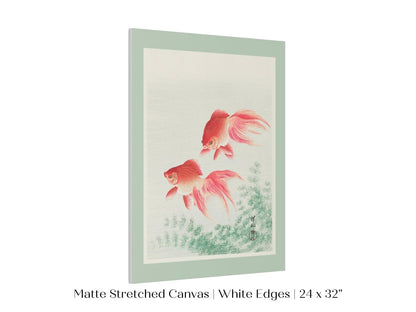 Two Veil Goldfish | Vintage Japanese Art | P161 - Single Art Prints - Piccolo Fiore Prints