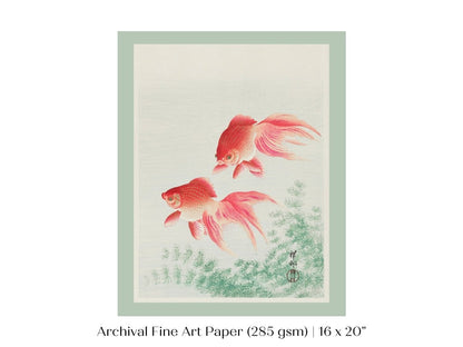 Two Veil Goldfish | Vintage Japanese Art | P161 - Single Art Prints - Piccolo Fiore Prints
