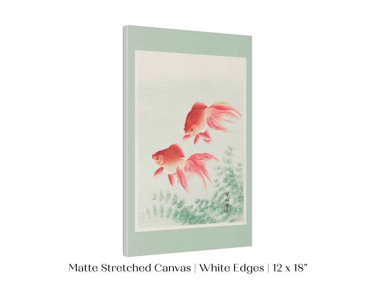 Two Veil Goldfish | Vintage Japanese Art | P161 - Single Art Prints - Piccolo Fiore Prints