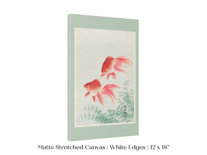 Two Veil Goldfish | Vintage Japanese Art | P161 - Single Art Prints - Piccolo Fiore Prints