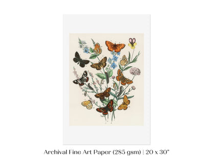 Vintage Butterfly and Caterpillar Art Print | Botanical Wall Art | Flowers and Butterflies Illustration | Instant DIGITAL DOWNLOAD | P28 - Single Art Prints - Piccolo Fiore Prints