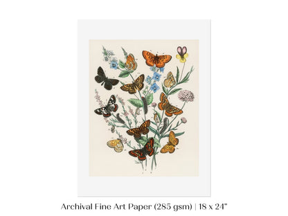 Vintage Butterfly and Caterpillar Art Print | Botanical Wall Art | Flowers and Butterflies Illustration | Instant DIGITAL DOWNLOAD | P28 - Single Art Prints - Piccolo Fiore Prints