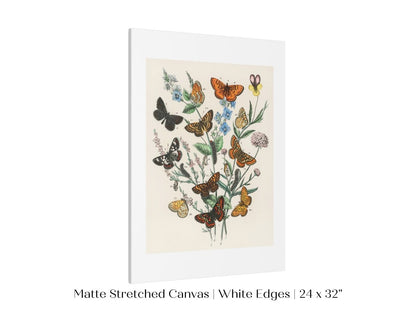 Vintage Butterfly and Caterpillar Art Print | Botanical Wall Art | Flowers and Butterflies Illustration | Instant DIGITAL DOWNLOAD | P28 - Single Art Prints - Piccolo Fiore Prints