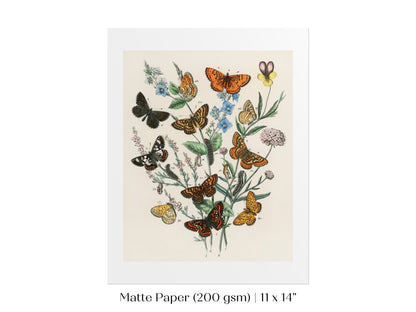 Vintage Butterfly and Caterpillar Art Print | Botanical Wall Art | Flowers and Butterflies Illustration | Instant DIGITAL DOWNLOAD | P28 - Single Art Prints - Piccolo Fiore Prints