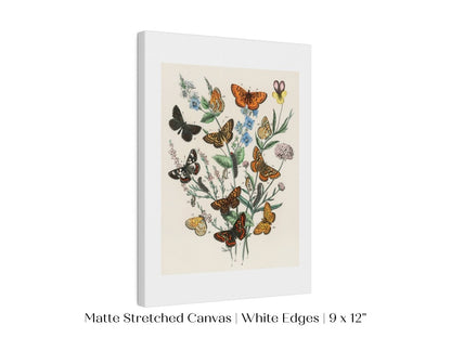 Vintage Butterfly and Caterpillar Art Print | Botanical Wall Art | Flowers and Butterflies Illustration | Instant DIGITAL DOWNLOAD | P28 - Single Art Prints - Piccolo Fiore Prints