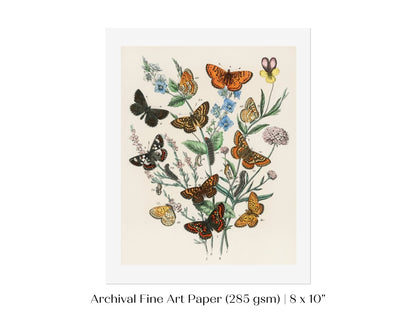 Vintage Butterfly and Caterpillar Art Print | Botanical Wall Art | Flowers and Butterflies Illustration | Instant DIGITAL DOWNLOAD | P28 - Single Art Prints - Piccolo Fiore Prints