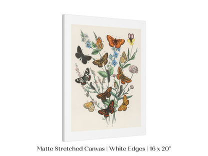 Vintage Butterfly and Caterpillar Art Print | Botanical Wall Art | Flowers and Butterflies Illustration | Instant DIGITAL DOWNLOAD | P28 - Single Art Prints - Piccolo Fiore Prints