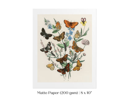Vintage Butterfly and Caterpillar Art Print | Botanical Wall Art | Flowers and Butterflies Illustration | Instant DIGITAL DOWNLOAD | P28 - Single Art Prints - Piccolo Fiore Prints