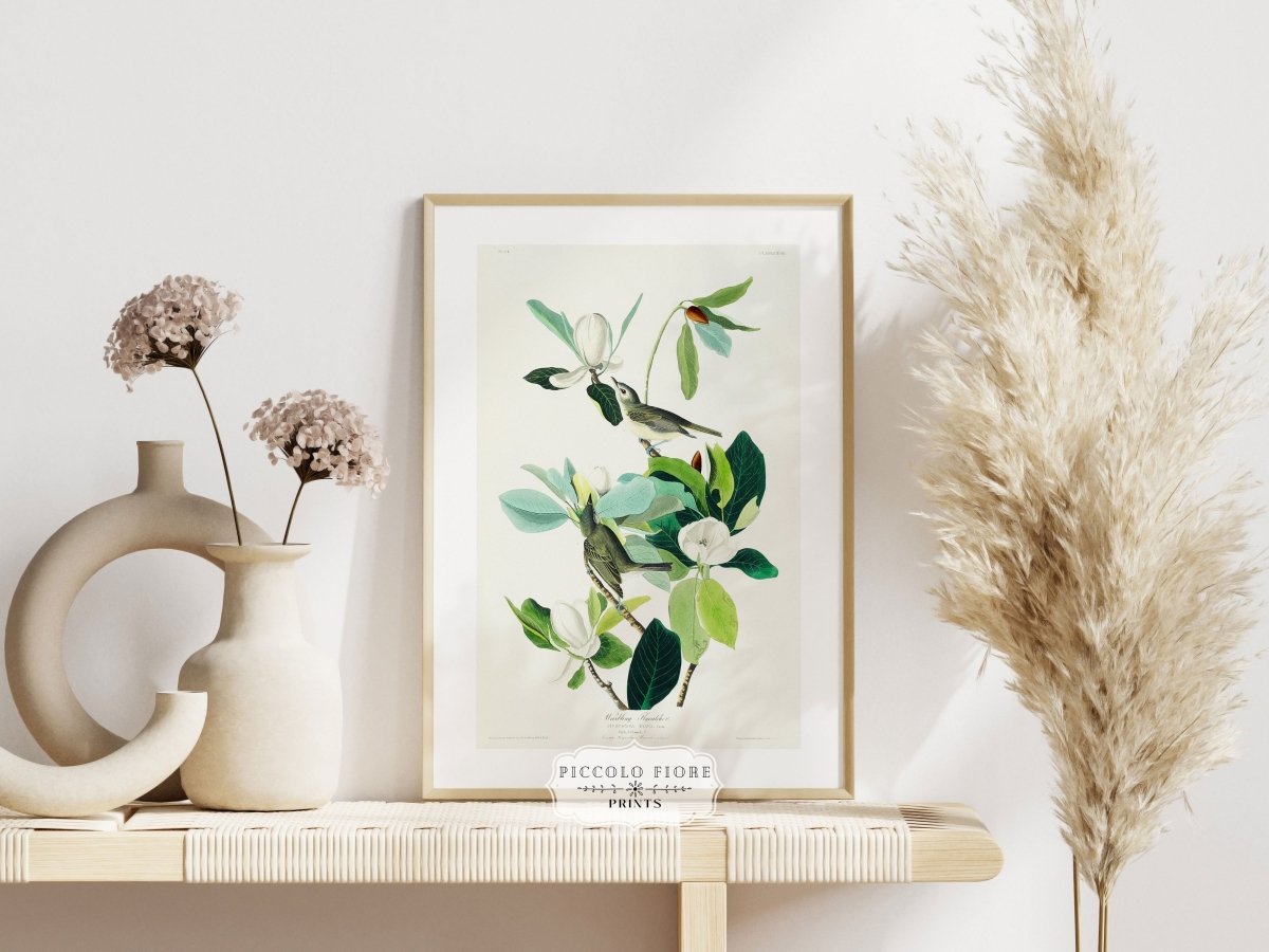 Warbling Flycatchers Illustration | P194 - Single Art Prints - Piccolo Fiore Prints