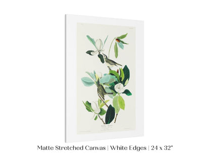 Warbling Flycatchers Illustration | P194 - Single Art Prints - Piccolo Fiore Prints