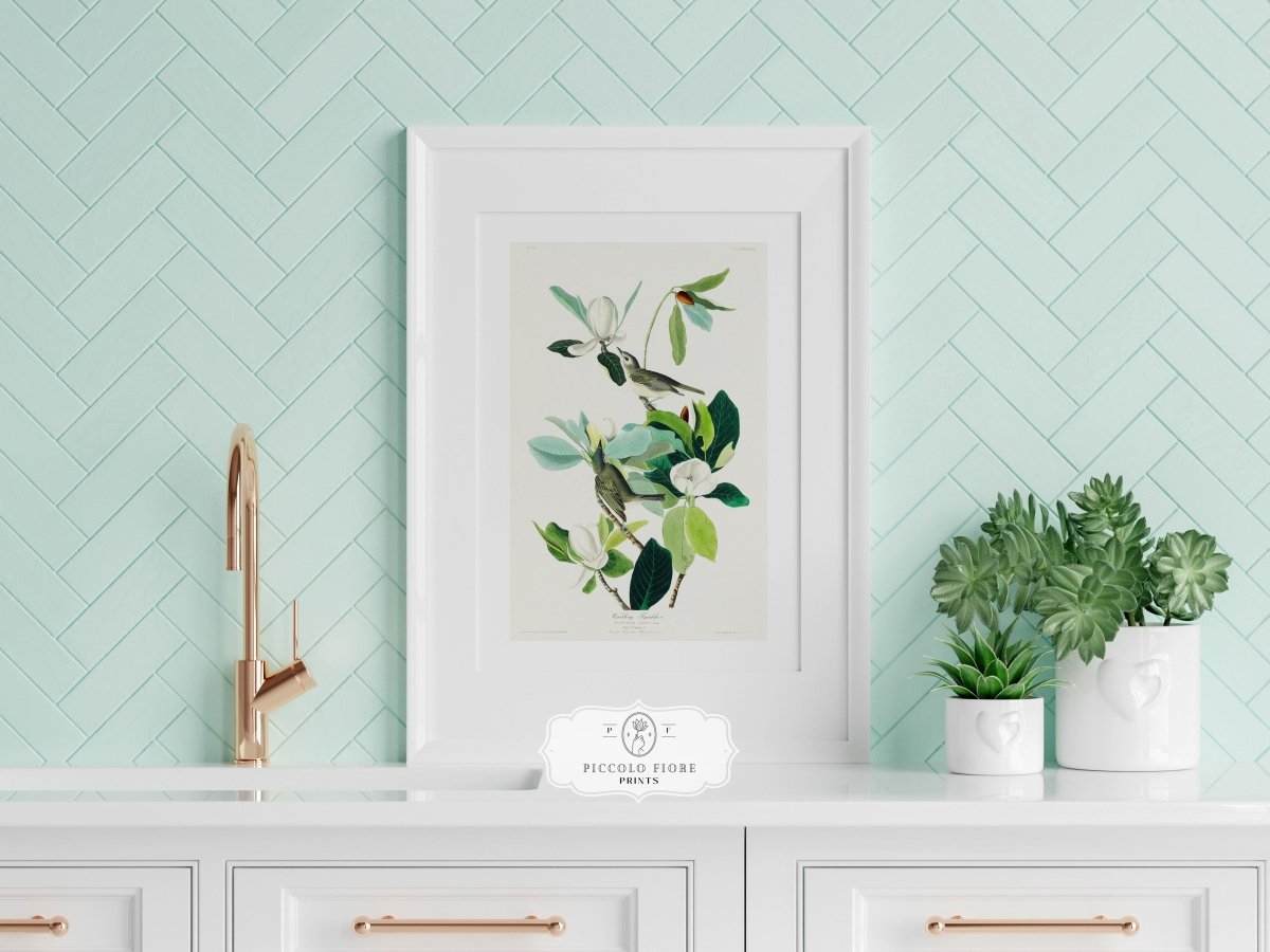 Warbling Flycatchers Illustration | P194 - Single Art Prints - Piccolo Fiore Prints