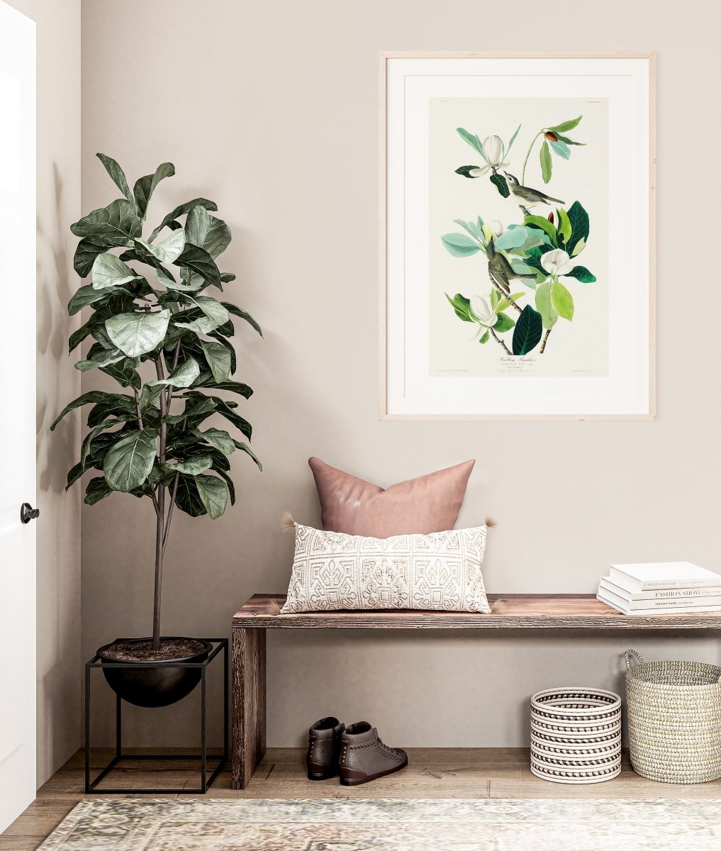 Warbling Flycatchers Illustration | P194 - Single Art Prints - Piccolo Fiore Prints