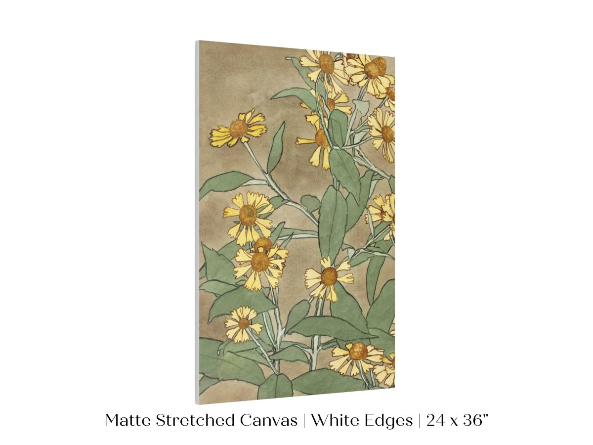 Watercolour Daisies | P286 - Single Art Prints - Piccolo Fiore Prints