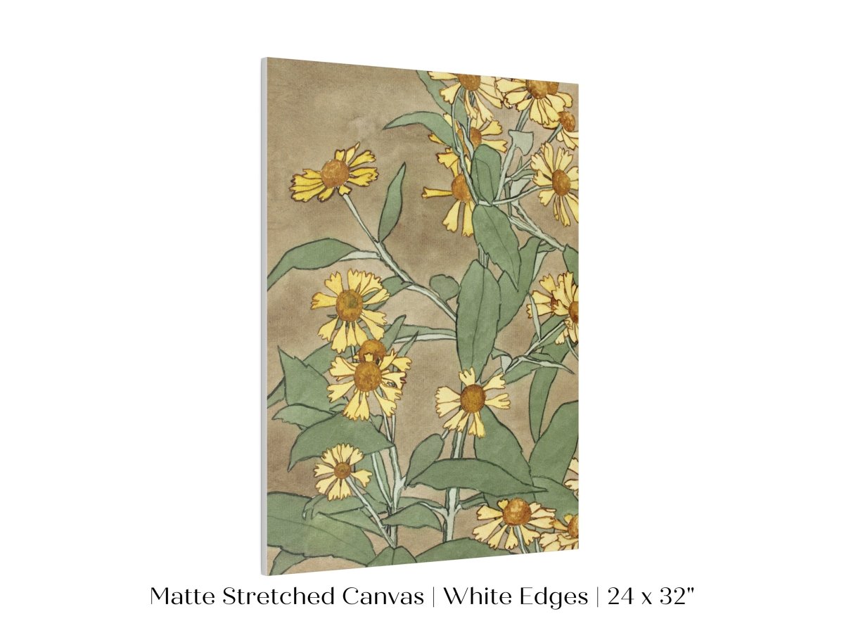 Watercolour Daisies | P286 - Single Art Prints - Piccolo Fiore Prints