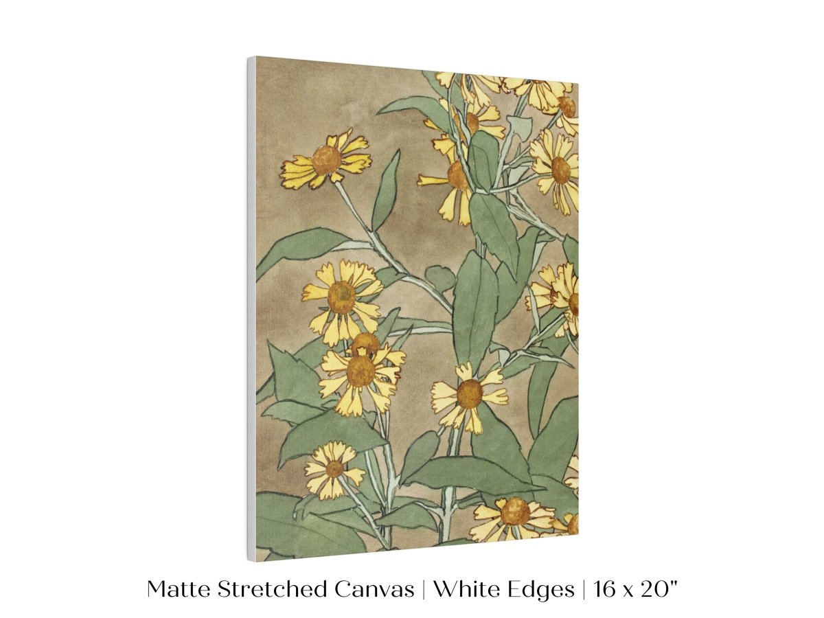 Watercolour Daisies | P286 - Single Art Prints - Piccolo Fiore Prints