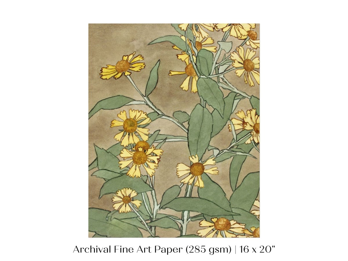 Watercolour Daisies | P286 - Single Art Prints - Piccolo Fiore Prints