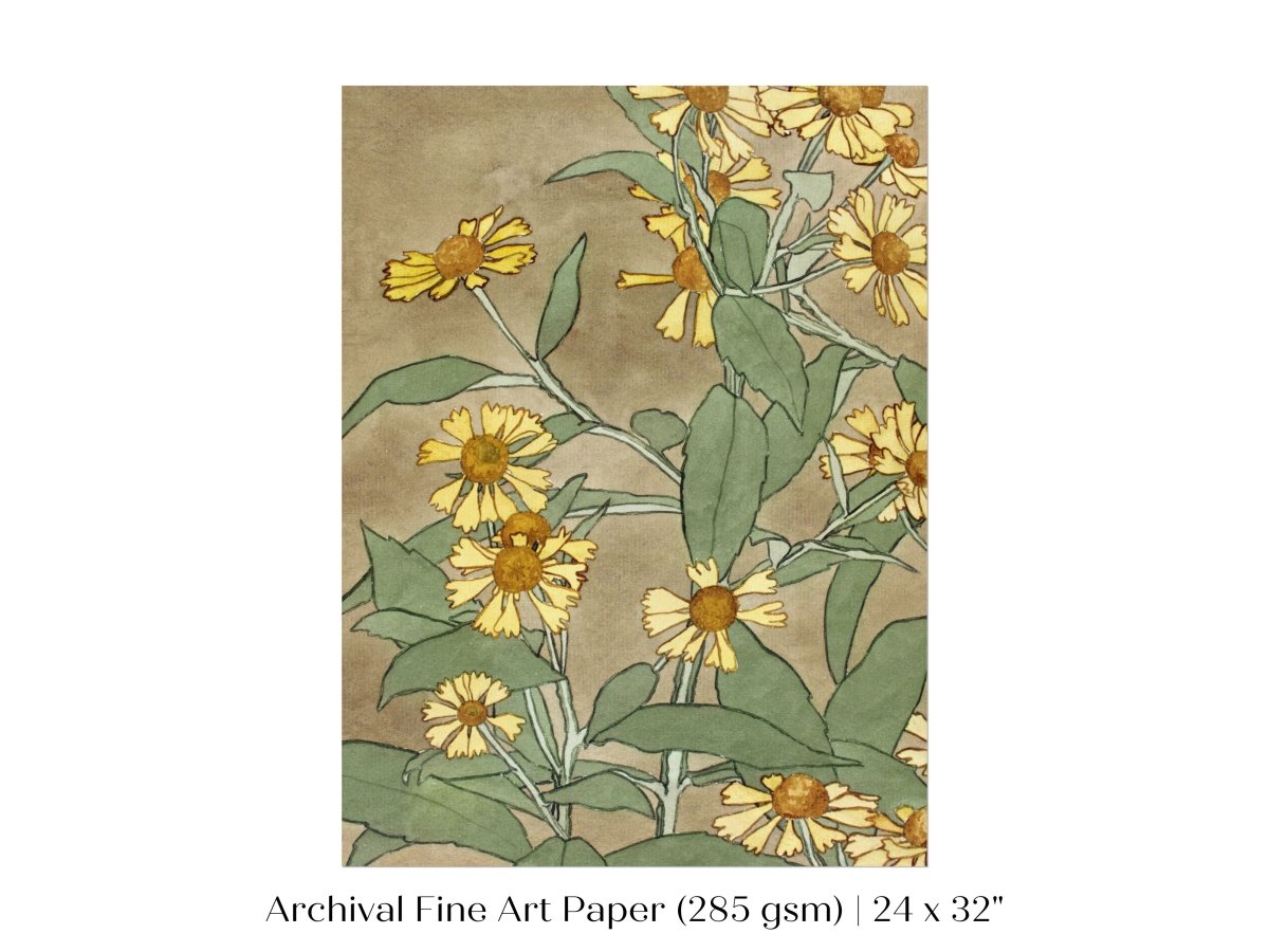 Watercolour Daisies | P286 - Single Art Prints - Piccolo Fiore Prints