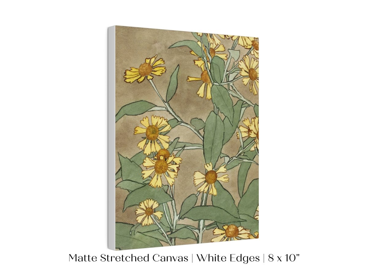 Watercolour Daisies | P286 - Single Art Prints - Piccolo Fiore Prints