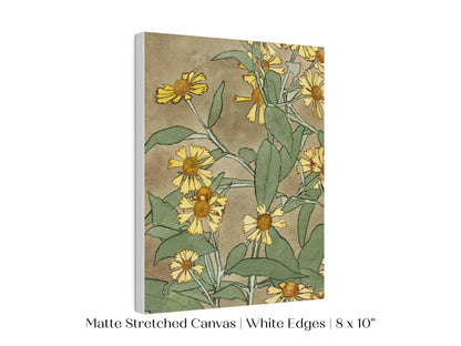 Watercolour Daisies | P286 - Single Art Prints - Piccolo Fiore Prints