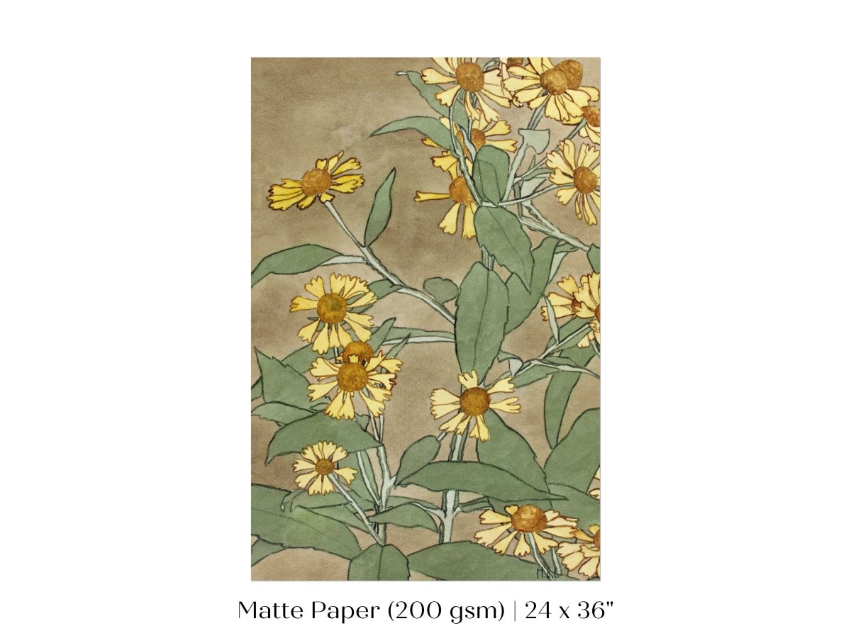 Watercolour Daisies | P286 - Single Art Prints - Piccolo Fiore Prints
