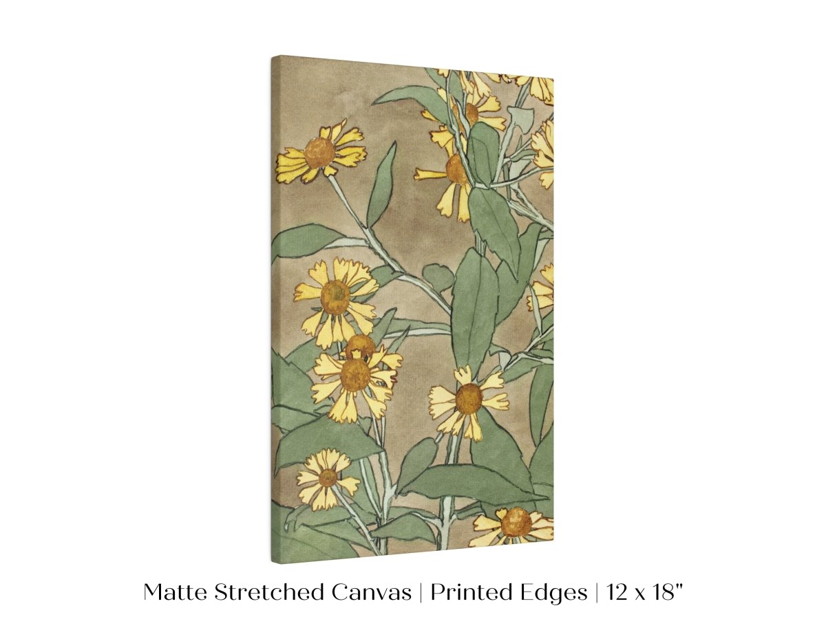 Watercolour Daisies | P286 - Single Art Prints - Piccolo Fiore Prints